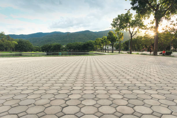 Best Residential Paver Driveway  in Dixmoor, IL
